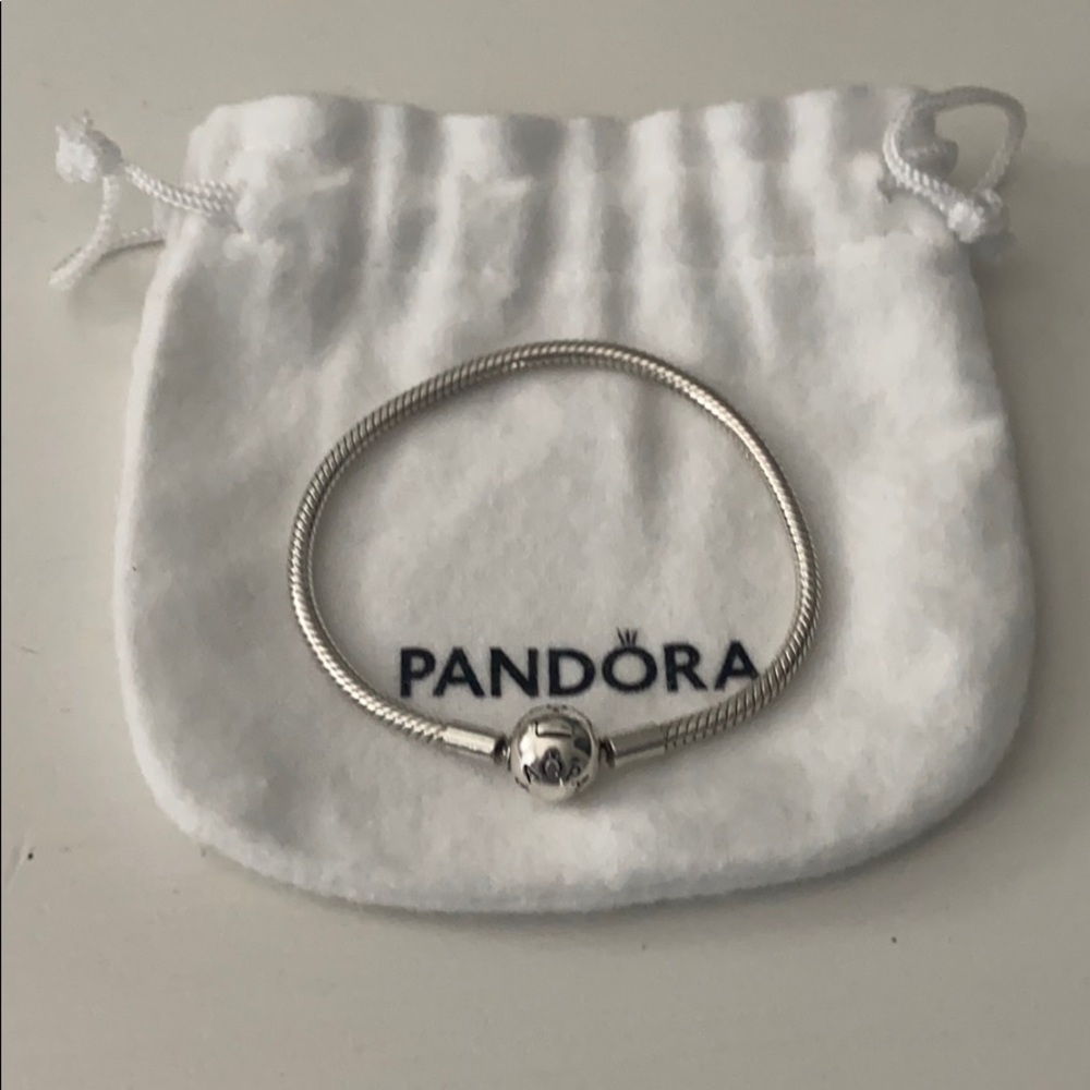 Pandora silver charm bracelet
